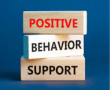 Positive Behavior Support – GPs